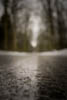 Canon EOS-1D Mark II N, T:1/800, A:f/2.8, P:3, ISO200, F:24mm, EV:0 <br />02.01.2011 -  15:11:30