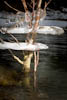 Canon EOS-1D Mark II N, T:1/200, A:f/5.0, P:3, ISO200, F:24mm, EV:-1 <br />02.01.2011 -  16:13:35