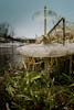 Canon EOS-1D Mark II N, T:1/40, A:, P:3, ISO200, F:mm, EV:-1 <br />02.01.2011 -  16:18:09