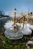Canon EOS-1D Mark II N, T:1/100, A:, P:3, ISO200, F:mm, EV:-1 <br />02.01.2011 -  16:18:16