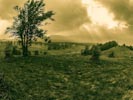 , T:, A:, P:, ISO, F:mm, EV: <br />.. - 