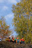 Canon EOS 400D DIGITAL, T:1/1600, A:f/3.5, P:1, ISO400, F:76mm, EV:0 <br />18.09.2009 -  18:20:04