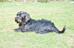NIKON D300, T:10/2500, A:f/5.0, P:1, ISO200, F:700mm, EV:-2.33 <br />28.03.2010 -  13:30:42