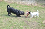 NIKON D300, T:10/2500, A:f/4.2, P:1, ISO200, F:380mm, EV:-2.33 <br />28.03.2010 -  13:32:48