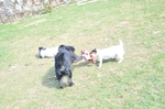 NIKON D300, T:10/2500, A:f/4.2, P:1, ISO200, F:320mm, EV:-2.33 <br />28.03.2010 -  13:33:12