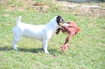 NIKON D300, T:10/2500, A:f/5.6, P:1, ISO200, F:1350mm, EV:-2.33 <br />28.03.2010 -  13:35:07