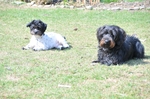 NIKON D300, T:10/2500, A:f/5.3, P:1, ISO200, F:1050mm, EV:-2.33 <br />28.03.2010 -  13:38:22