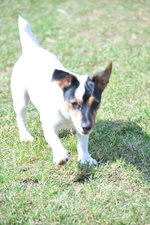 NIKON D300, T:10/2500, A:f/5.6, P:1, ISO200, F:2000mm, EV:-2.33 <br />28.03.2010 -  13:38:56